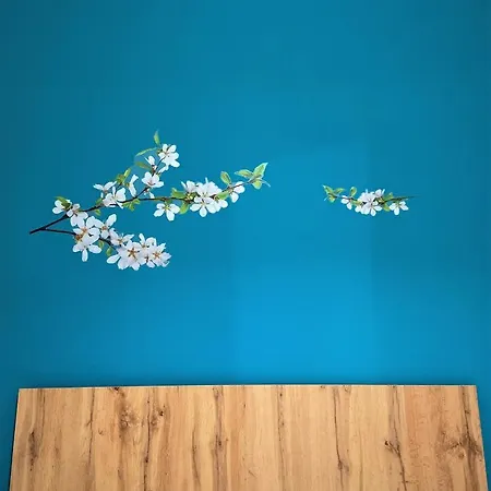 La Casa Sui Gradini Apartment *